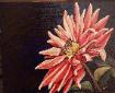�Marcy�s Dahlia�  2006. 12� x 12� Acrylic on canvas. Collection of Marcy Phipps. 