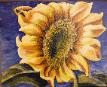 �Jannifer�s Sunflower�  2006. 12� x 12� Acrylic on canvas. Collection of Jannifer Conley.